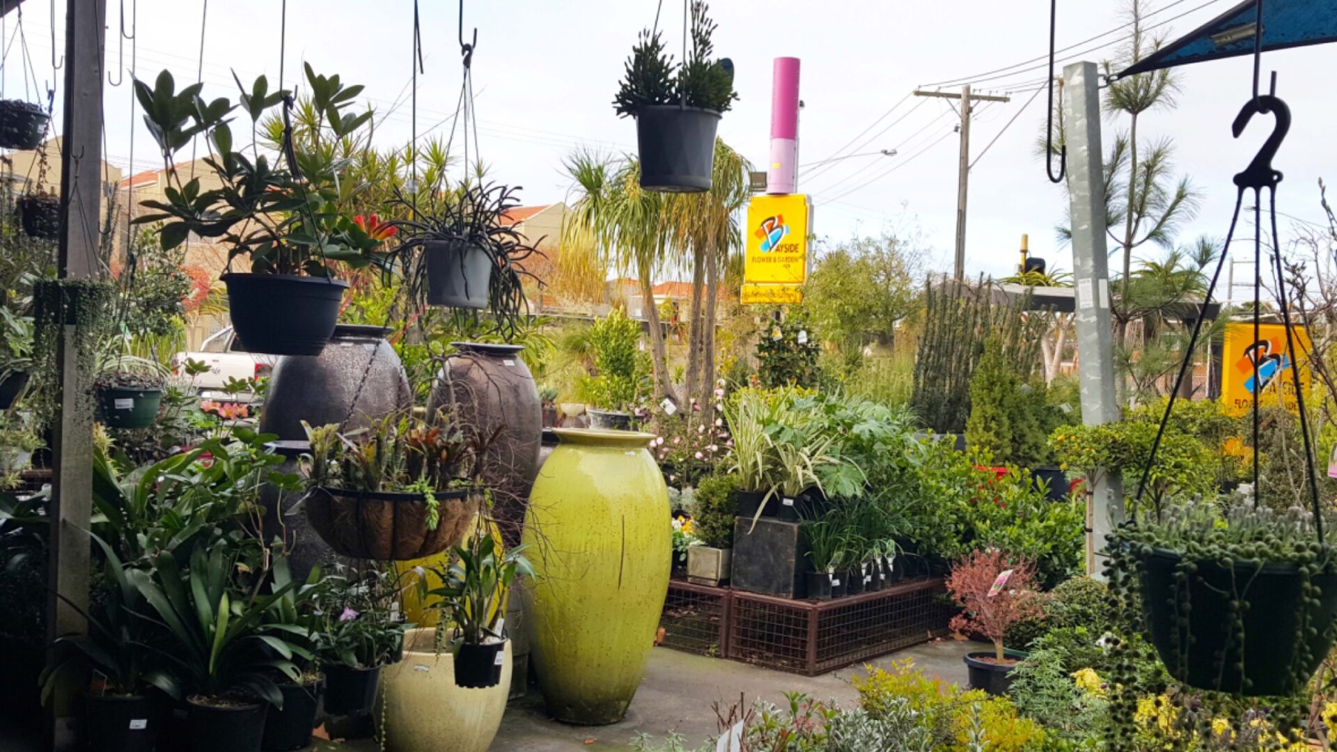 BAYSIDE FLOWER & GARDEN NURSERY