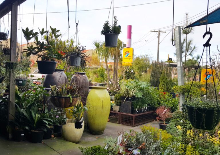 BAYSIDE FLOWER & GARDEN NURSERY