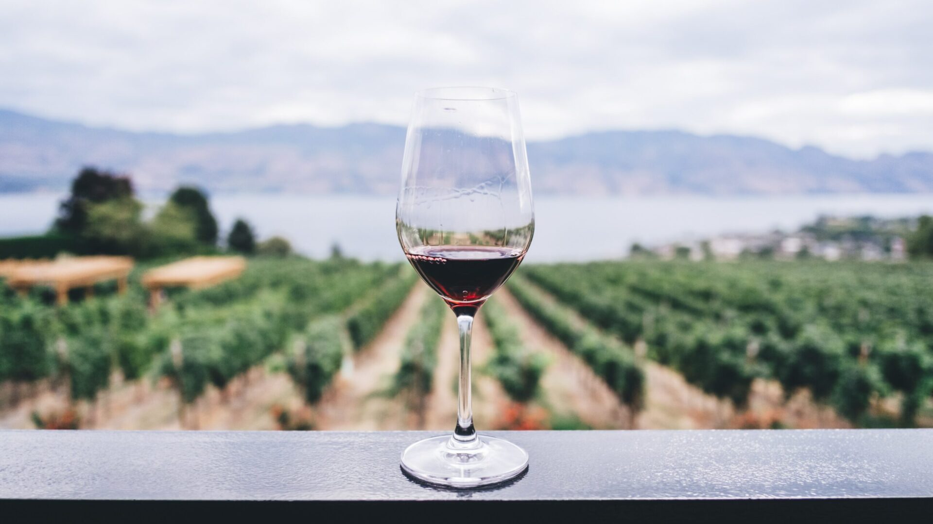 PHENOMENAL WINERY WITH REAL ESTATE OPPORTUNITY