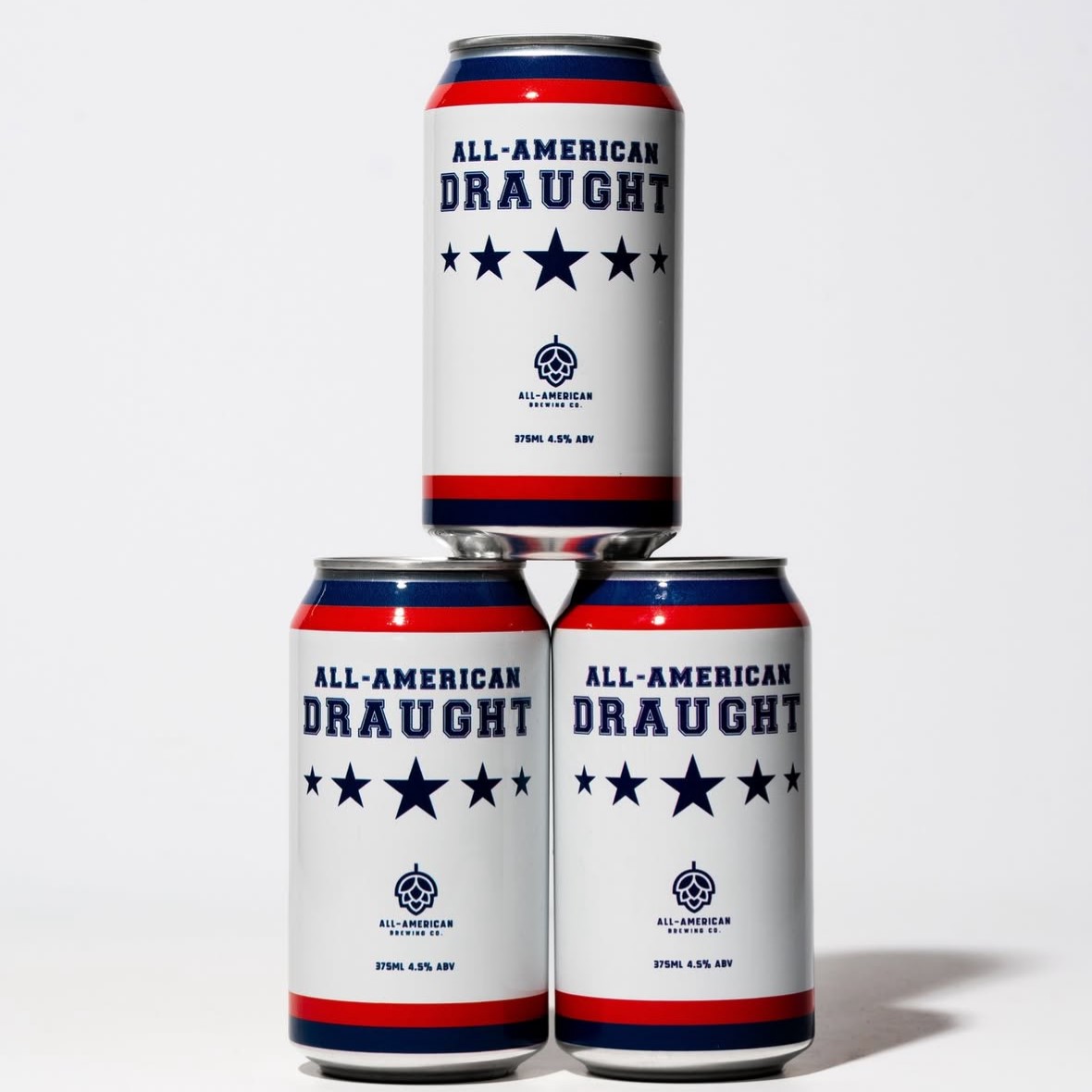 ALL AMERICAN BREWING CO